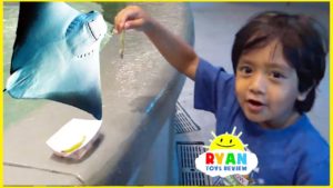 Ryan’s First Time Feeding Stingray at the aquarium for kids!!!