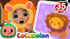 Guess the Animal Song + More Nursery Rhymes & Kids Songs – CoComelon