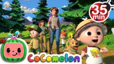 I Love the Mountains + More Nursery Rhymes & Kids Songs – CoComelon