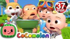 Wait Your Turn + More Nursery Rhymes & Kids Songs – CoComelon