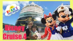 Disney Cruise Fantasy Family Fun Vacation