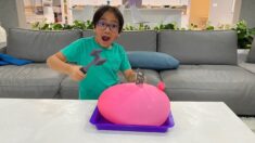 Ice Balloon Melting Animals Easy Science Experiments for kid and more kids activities!!